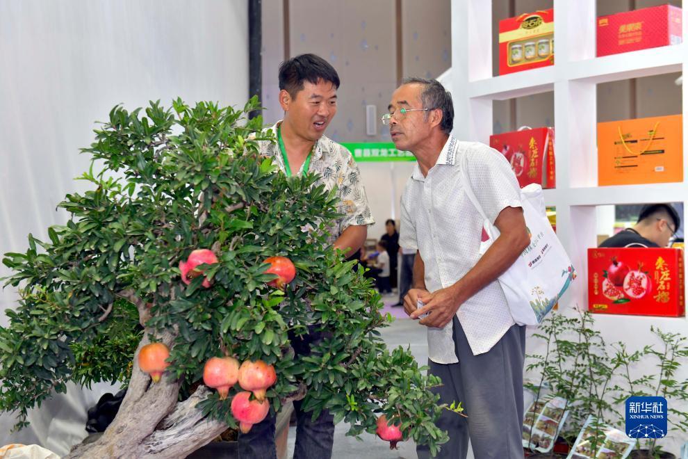 九州在线